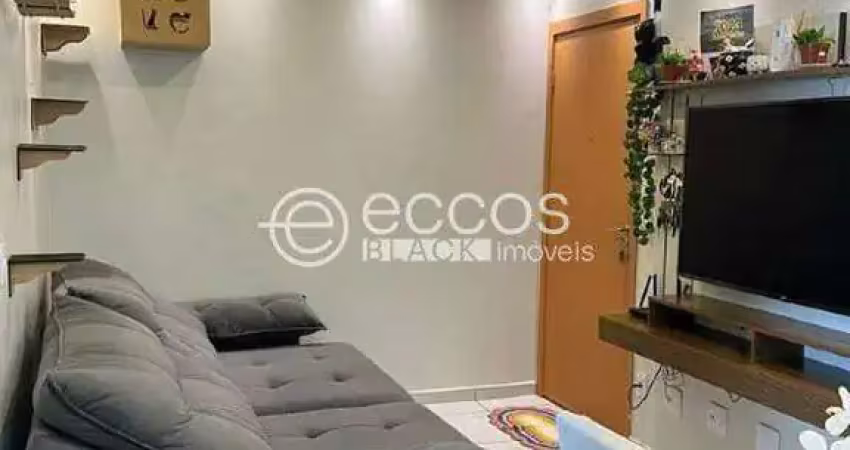 Apartamento à venda, 2 quartos, 1 vaga, jardim patrícia - uberlândia/mg