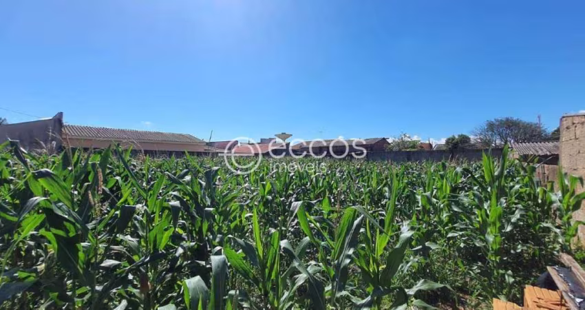 Terreno à venda, Jardim das Palmeiras - Uberlândia/MG