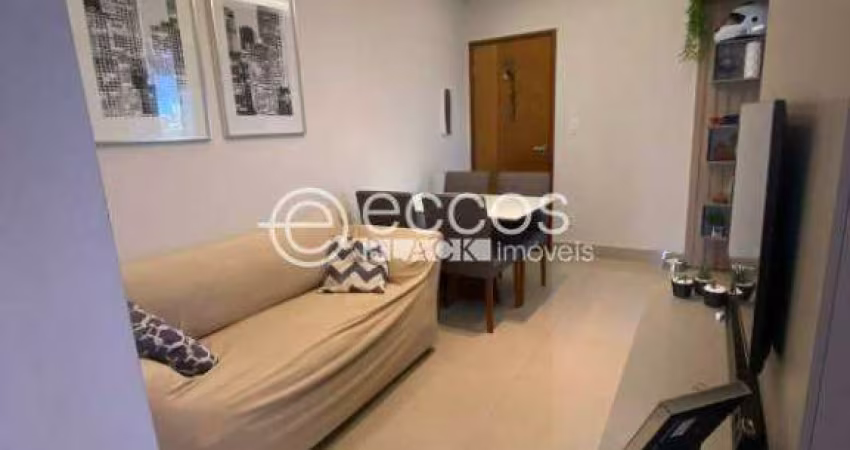 Apartamento à venda, 2 quartos, 1 suíte, 1 vaga, Segismundo Pereira - Uberlândia/MG