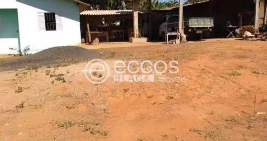 Chácara à venda, área rural de araguari - araguari/mg