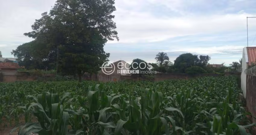 Terreno para aluguel, CENTRO - ARAGUARI/MG