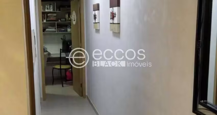 Apartamento à venda, 2 quartos, 1 suíte, 2 vagas, aclimação - uberlândia/mg