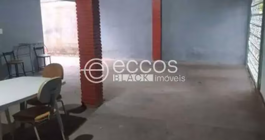 Casa à venda, 2 quartos, 3 vagas, jardim das palmeiras - uberlândia/mg