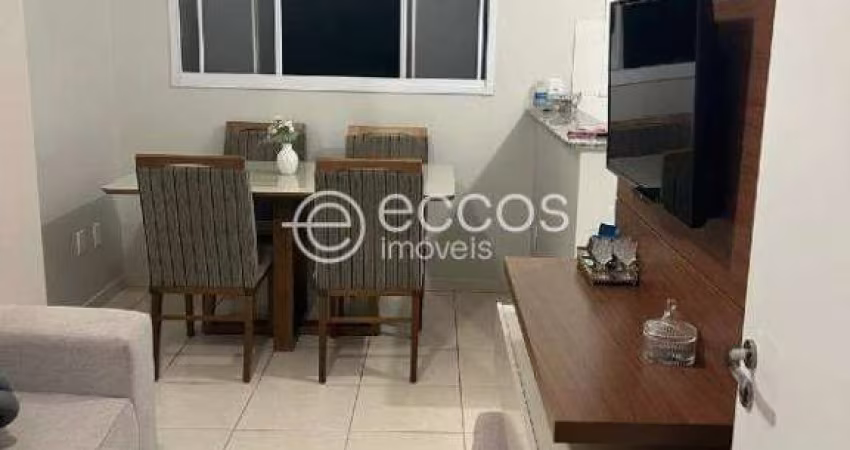 Apartamento à venda, 2 quartos, 1 vaga, Shopping Park - Uberlândia/MG