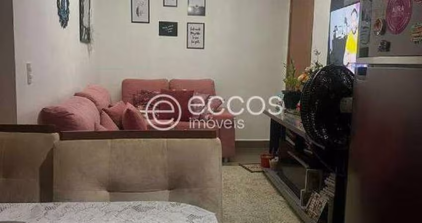Apartamento à venda, 2 quartos, 1 suíte, 1 vaga, Minas Gerais - Uberlândia/MG
