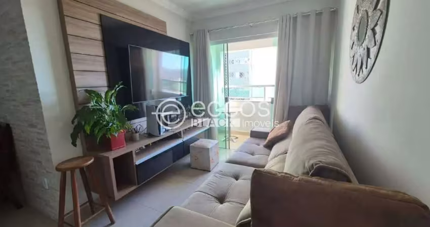 Apartamento à venda, 2 quartos, 1 suíte, 2 vagas, tubalina - uberlândia/mg