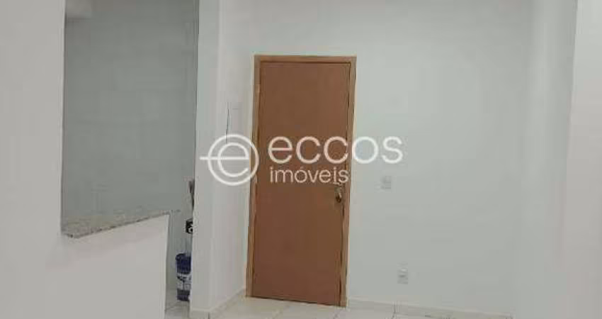 Apartamento à venda, 2 quartos, 1 vaga, Dona Zulmira - Uberlândia/MG