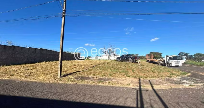 Terreno à venda, Jardim Inconfidência - Uberlândia/MG