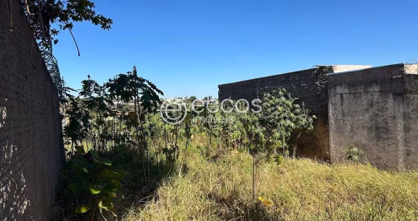 Terreno à venda, Vigilato Pereira - Uberlândia/MG