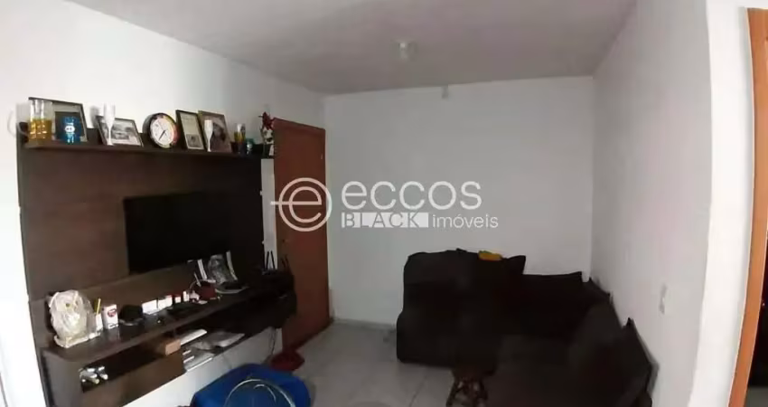 Apartamento à venda, 2 quartos, 1 vaga, jardim patrícia - uberlândia/mg