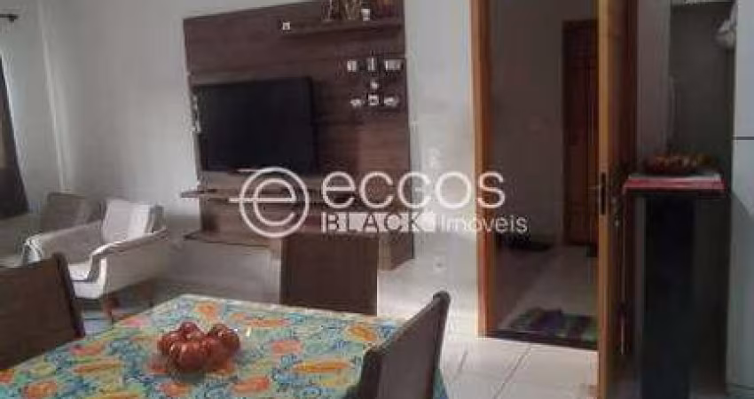 Apartamento à venda, 2 quartos, 1 vaga, Dona Zulmira - Uberlândia/MG