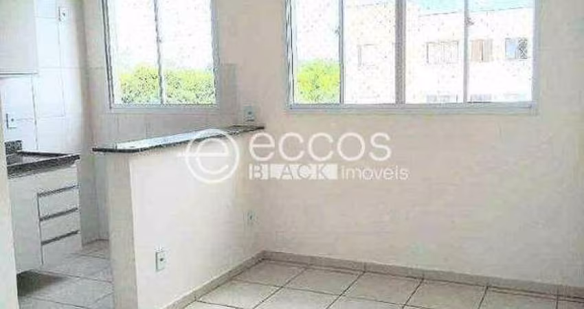 Apartamento à venda, 2 quartos, 1 vaga, Shopping Park - Uberlândia/MG