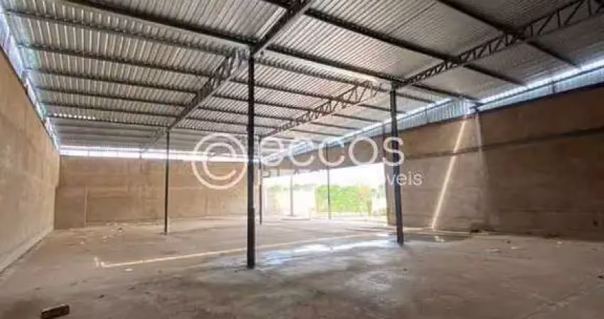 Barracão / Galpão / Depósito para alugar na Rua João Borges Guimarães, 1223, Shopping Park, Uberlândia