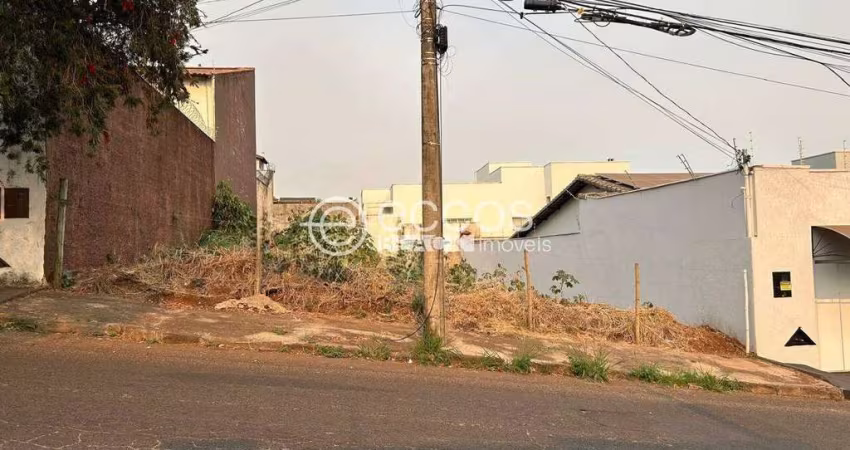 Terreno à venda, Vigilato Pereira - Uberlândia/MG
