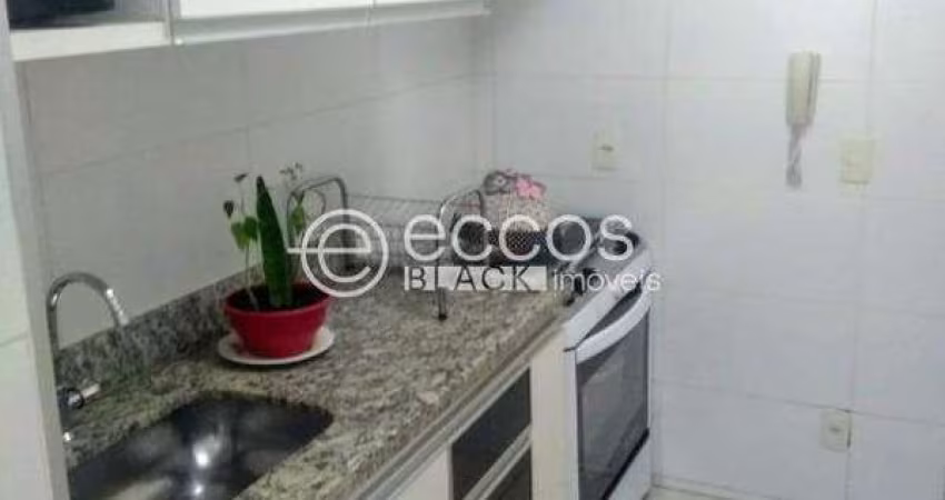 Apartamento à venda, 3 quartos, 1 suíte, 1 vaga, Tubalina - Uberlândia/MG