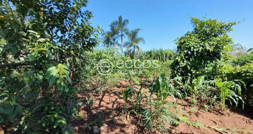 Chácara à venda, 2 quartos, Morada Nova - Uberlândia/MG