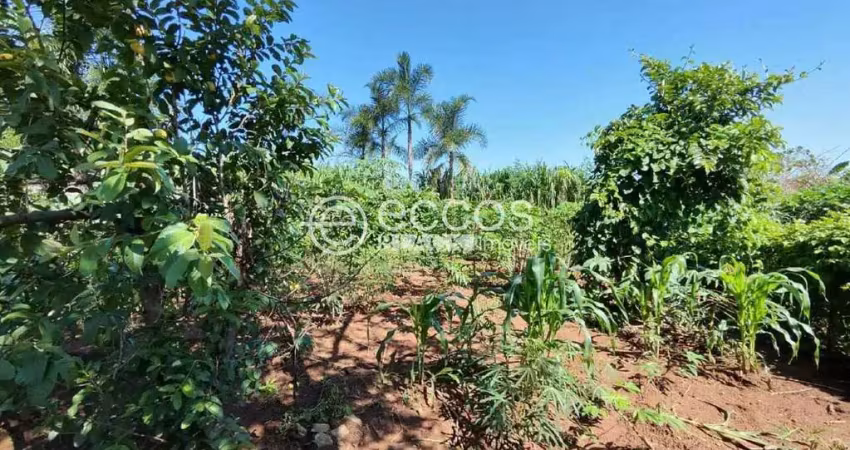 Chácara à venda, 2 quartos, morada nova - uberlândia/mg