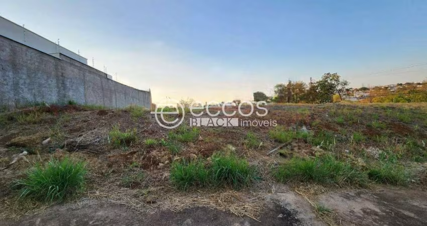 Terreno à venda, Jardim Karaíba - Uberlândia/MG