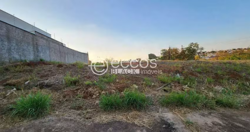 Terreno à venda na Alameda Grão Mestre, 95, Jardim Karaíba, Uberlândia