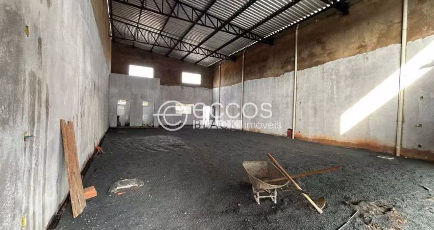 Galpão à venda, 2 vagas, alto umuarama - uberlândia/mg