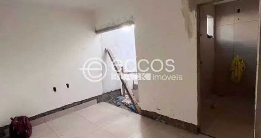 Casa à venda, 2 quartos, 1 suíte, 2 vagas, Shopping Park - Uberlândia/MG