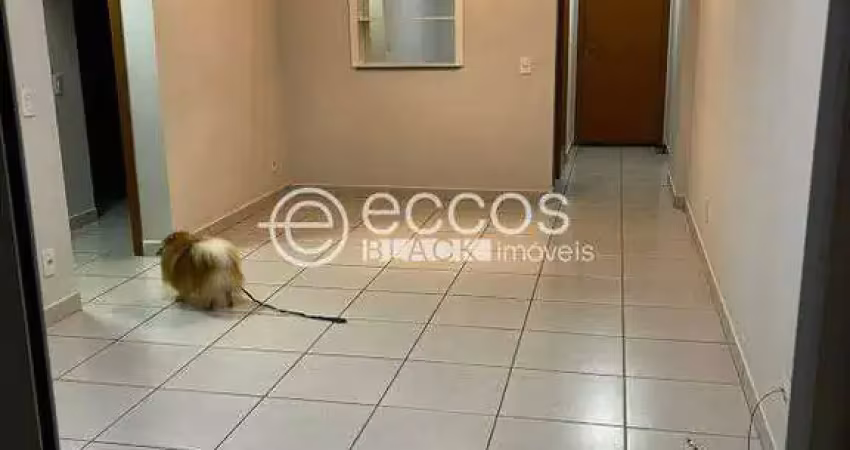 Apartamento à venda, 2 quartos, 2 suítes, 2 vagas, Umuarama - Uberlândia/MG