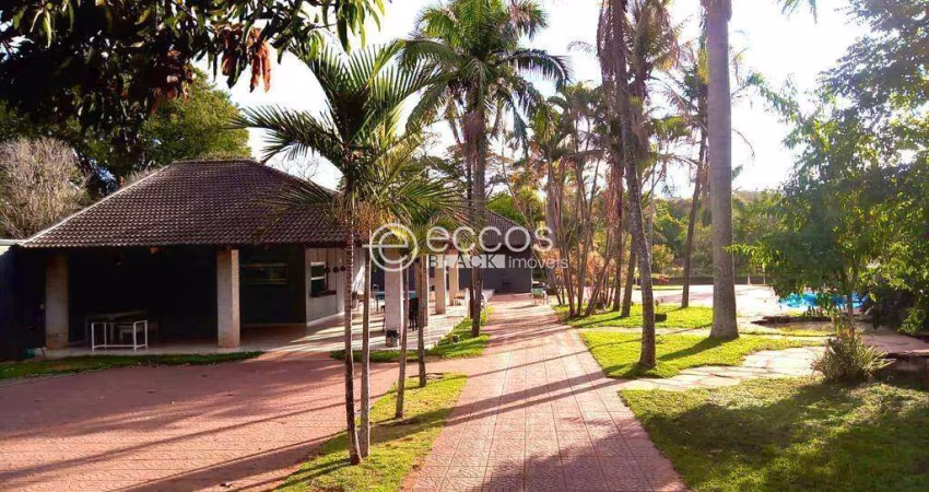 Chácara à venda, 3 quartos, 1 suíte, 20 vagas, Patrimônio - Uberlândia/MG