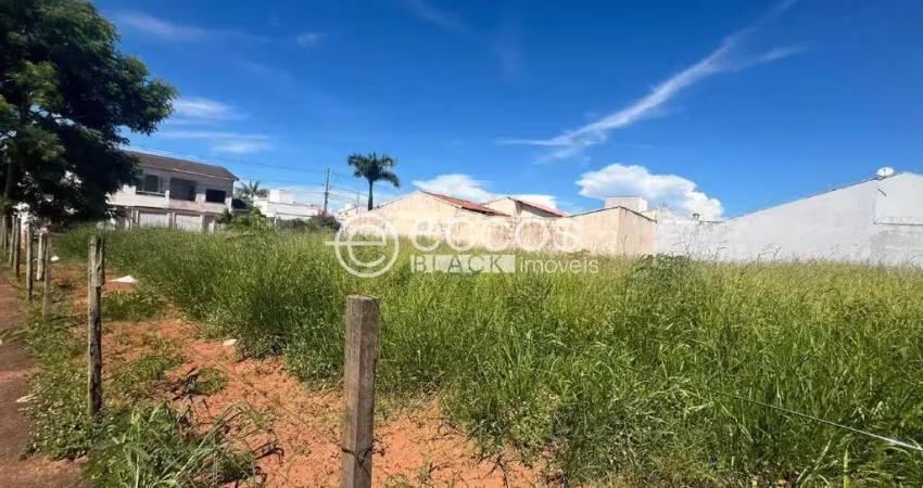 Terreno à venda, Alto Umuarama - Uberlândia/MG