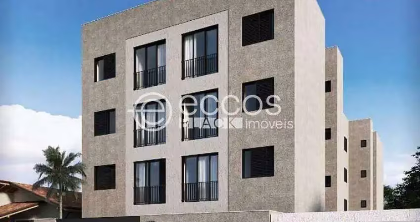 Apartamento à venda, 2 quartos, 1 suíte, 2 vagas, santa maria - uberaba/mg