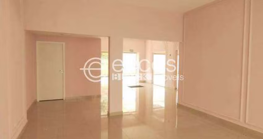 Imóvel Comercial para aluguel, Lídice - Uberlândia/MG