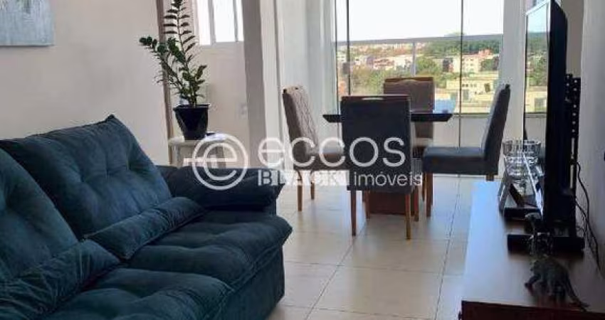 Apartamento à venda, 2 quartos, 1 suíte, 1 vaga, Granja Marileusa - Uberlândia/MG