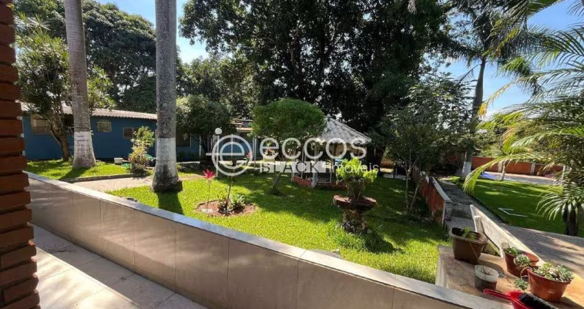 Chácara à venda, 3 quartos, 1 suíte, Morada dos Pássaros - Uberlândia/MG