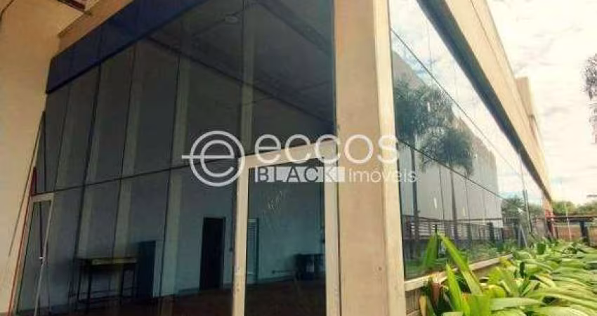 Imóvel Comercial para aluguel, Novo Mundo - Uberlândia/MG