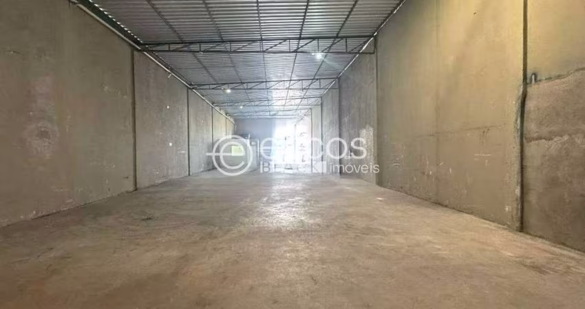 Imóvel Comercial para aluguel, 3 vagas, Custódio Pereira - Uberlândia/MG