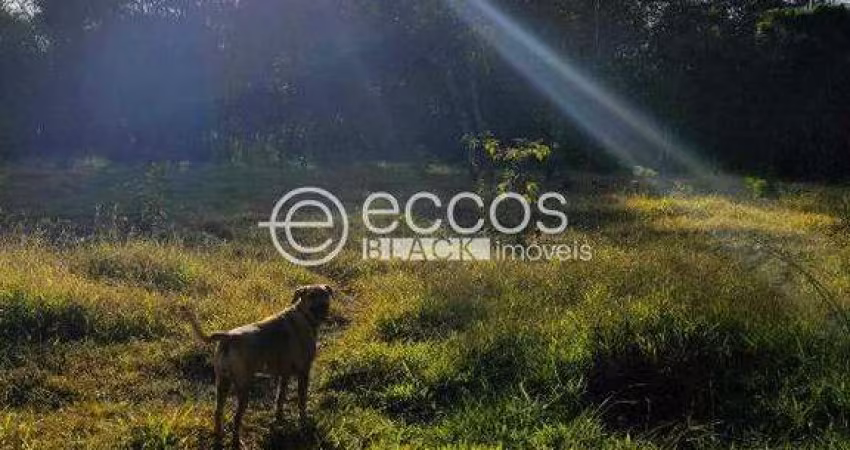 Terreno à venda, 3 quartos, Área Rural de Uberaba - UBERABA/MG