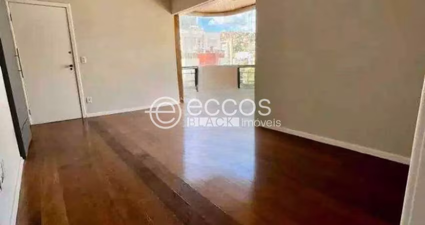 Apartamento à venda, 3 quartos, 1 suíte, 2 vagas, Serra - Belo Horizonte/MG