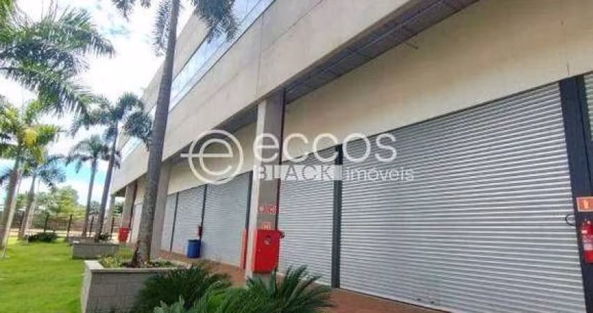 Imóvel Comercial para aluguel, Segismundo Pereira - Uberlândia/MG