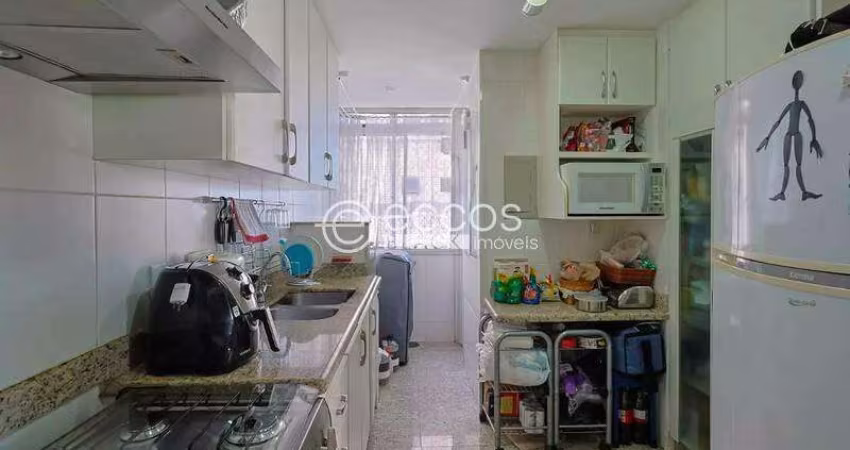 Apartamento à venda, 2 quartos, 1 suíte, 2 vagas, BURITIS - Belo Horizonte/MG