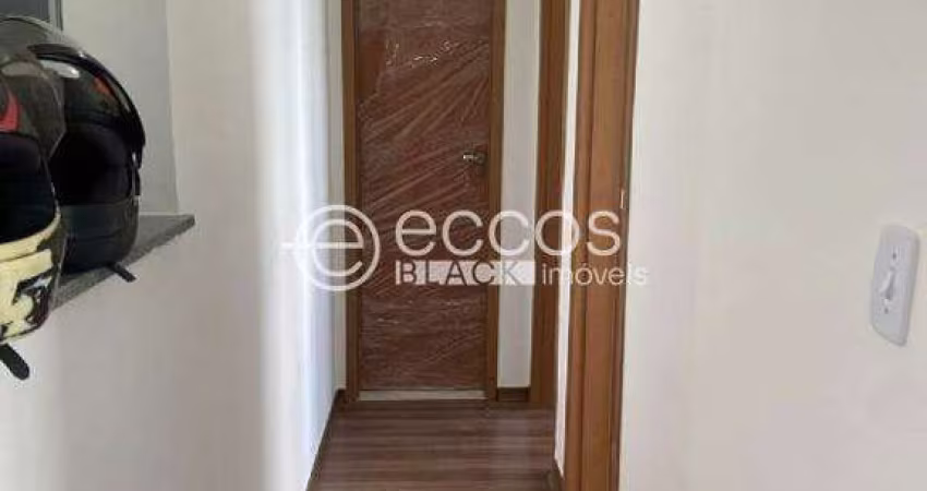 Apartamento para aluguel, 2 quartos, 1 vaga, Desmembramento União da Mocidade Espírita de Uberaba - UBERABA/MG