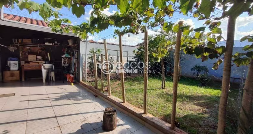Casa para aluguel, 3 quartos, 1 suíte, 2 vagas, Segismundo Pereira - Uberlândia/MG