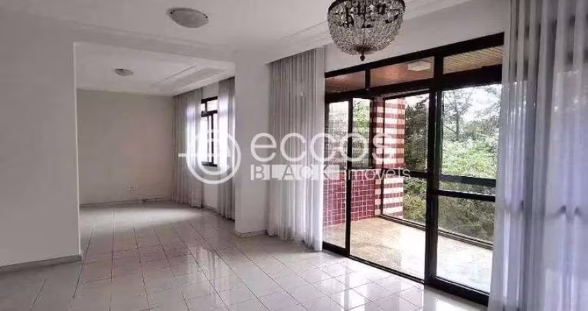 Apartamento para aluguel, 4 quartos, 1 suíte, 3 vagas, Luxemburgo - Belo Horizonte/MG