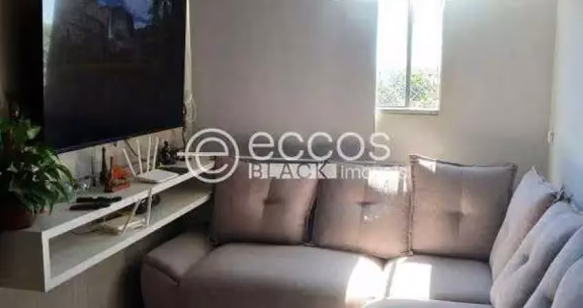 Apartamento à venda, 2 quartos, 1 vaga, panorama - uberlândia/mg