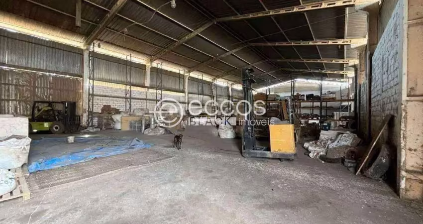 Galpão para aluguel, distrito industrial - uberlândia/mg
