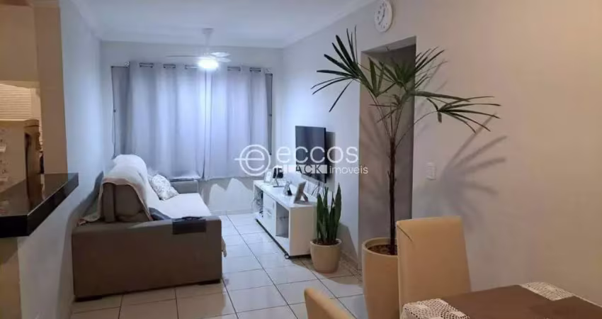 Apartamento à venda, 2 quartos, 1 suíte, 2 vagas, patrimônio - uberlândia/mg