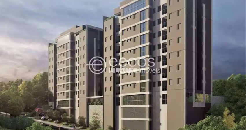 Apartamento à venda, 2 quartos, 2 suítes, 2 vagas, buritis - belo horizonte/mg