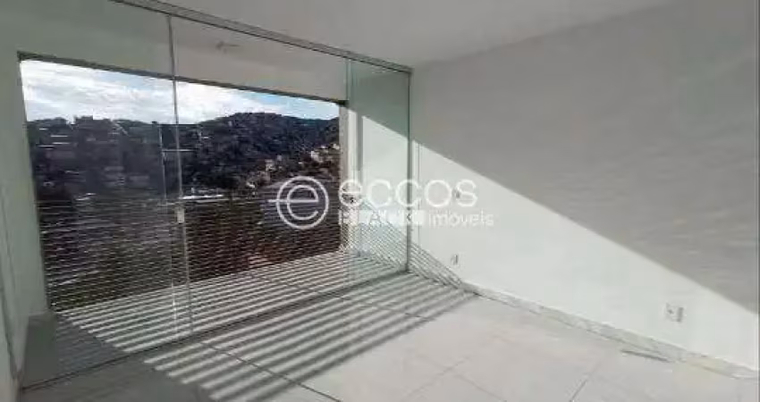 Apartamento para aluguel, 2 quartos, 1 suíte, 2 vagas, são lucas - belo horizonte/mg