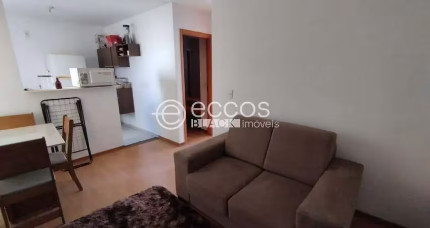Apartamento para aluguel, 2 quartos, 1 vaga, recreio dos bandeirantes - uberaba/mg