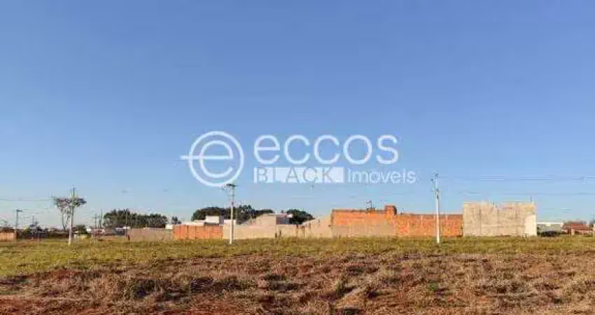 Terreno à venda na Q13 L08, --, Sibipiruna, Araguari