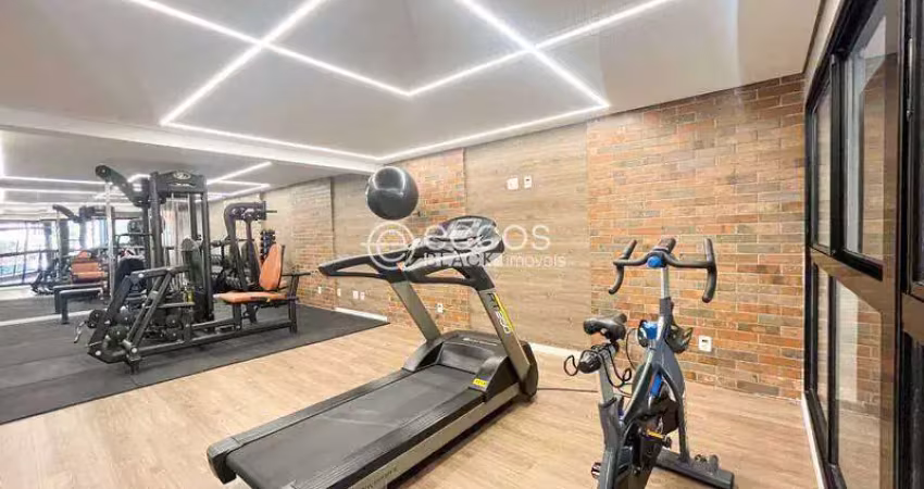 Apartamento à venda, 2 quartos, 1 suíte, 2 vagas, são pedro - belo horizonte/mg