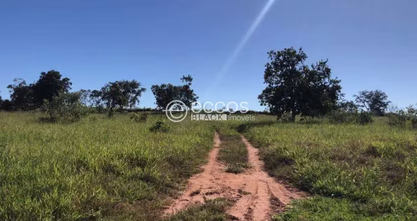 Chácara / sítio com 2 quartos à venda na Área Rural do Municipio Prata, --, Zona Rural, Prata